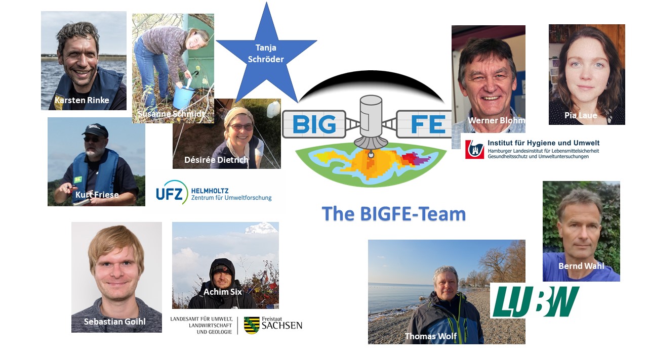 Our BIGFE Team